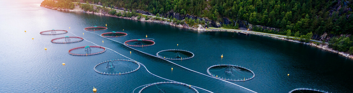 Cadena custodia en Acuacultura