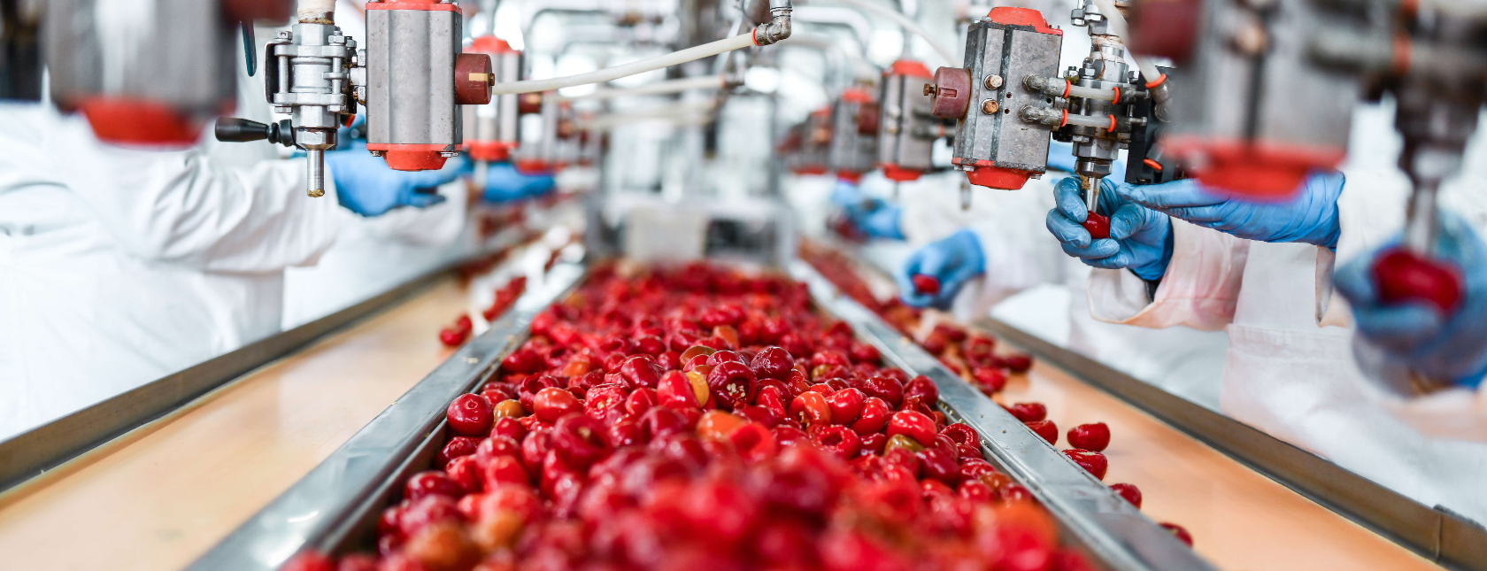 línea de producción que elabora alimentos