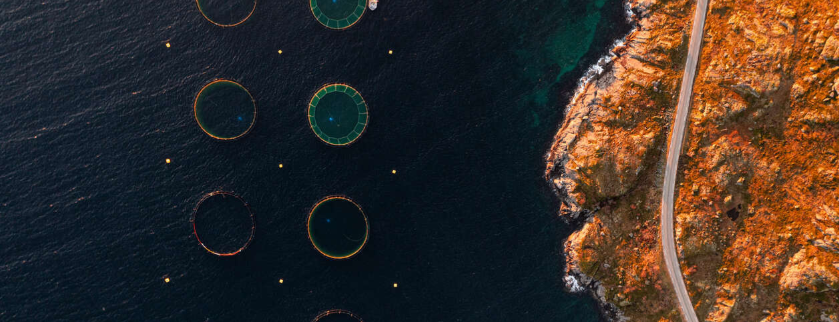 Curso "Controles Preventivos para alimentación animal de la FSPCA" 