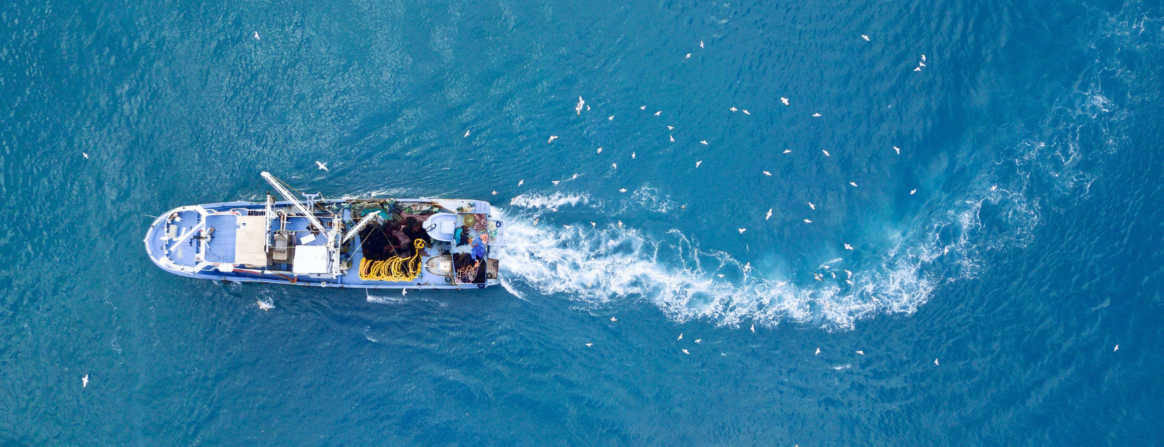 barco de cría en el mar