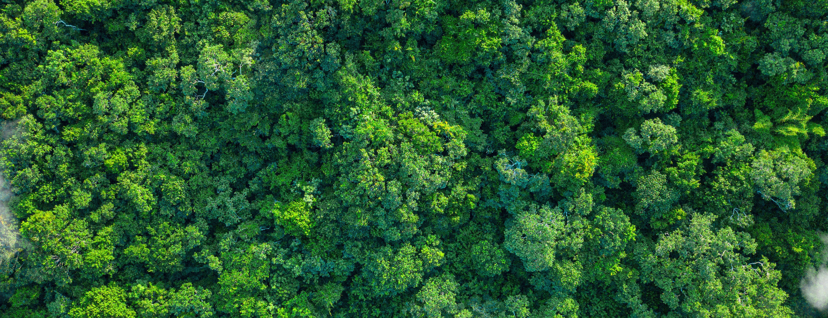 Parque en los negocios. Auditor Jefe ISO 14001 IRCA