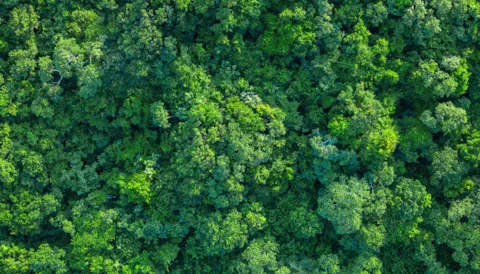 Curso "Auditor Jefe ISO 14001 (CQI and IRCA)"