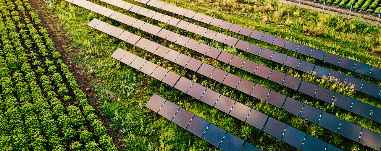 Bancomext due diligence solares México