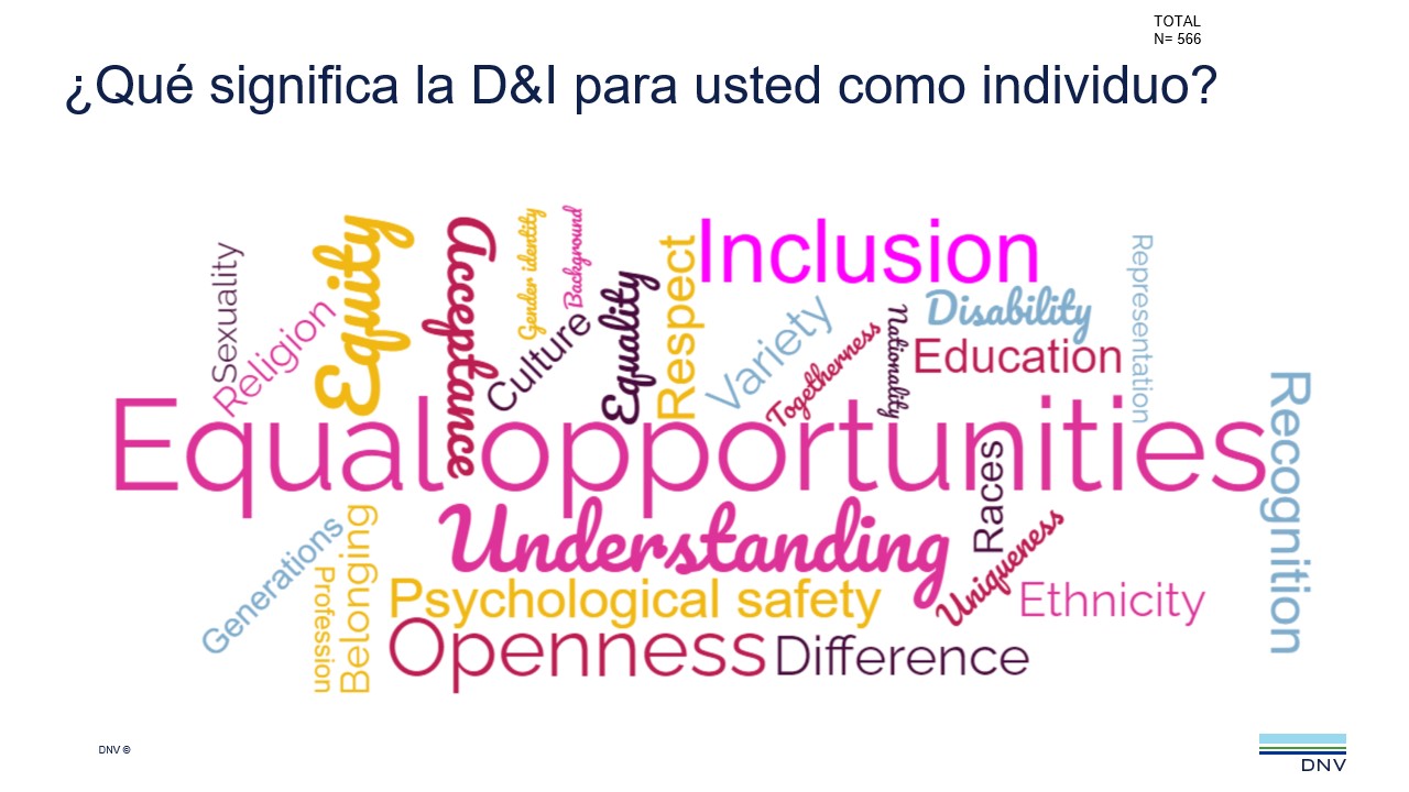 slide on what diversity and inclusion means