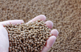 Estándar ASC para piensos