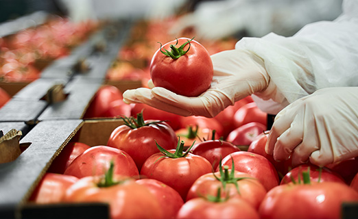 Curso "Auditor Jefe BRCGS Food v. 9" 