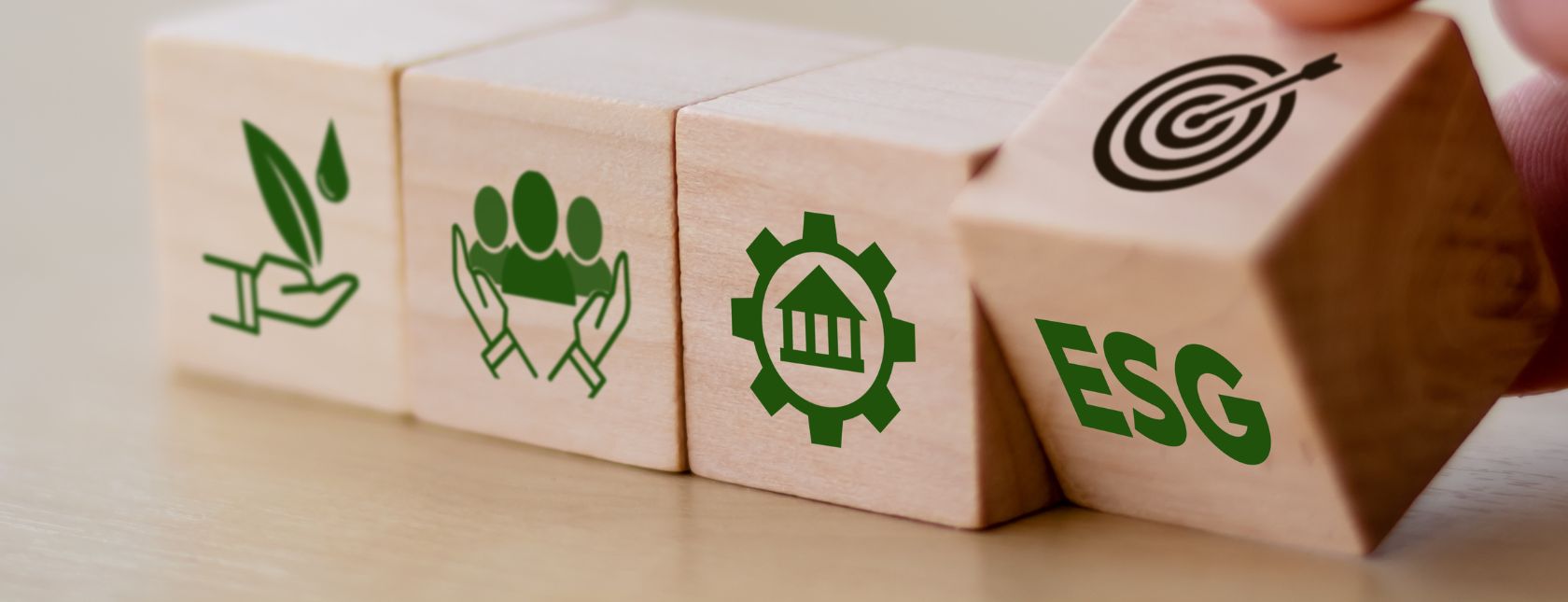 Formación en ESG y Sistemas de Gestión