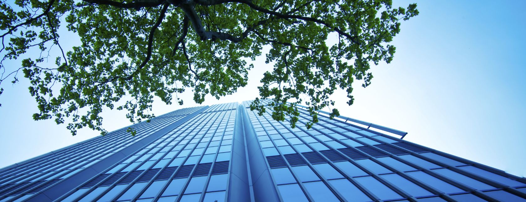 Un edificio de oficinas moderno y un árbol