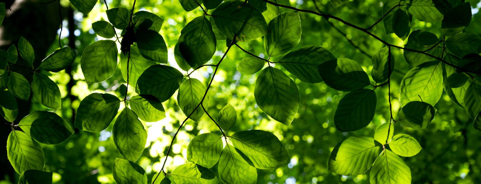 Curso requisitos ISO 14001:2015