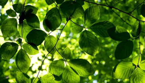 Curso requisitos ISO 14001:2015