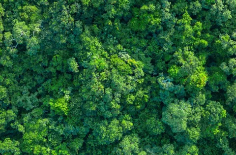 Revisión de la norma ISO 14001: Sistema de gestión medioambiental