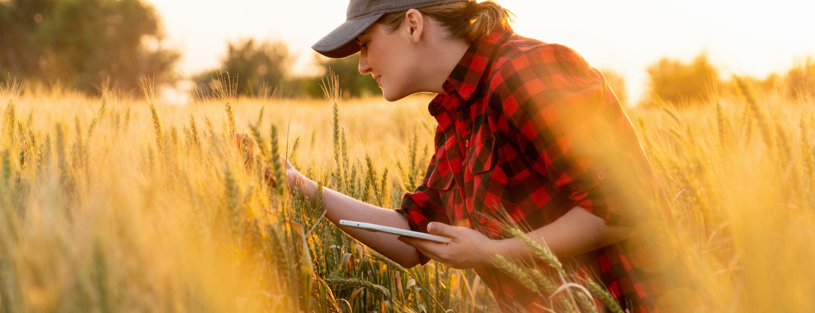 Agricultura inteligente