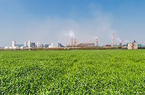 Decarbonizing hydrogen production – Is carbon capture and storage (CCS) crucial?