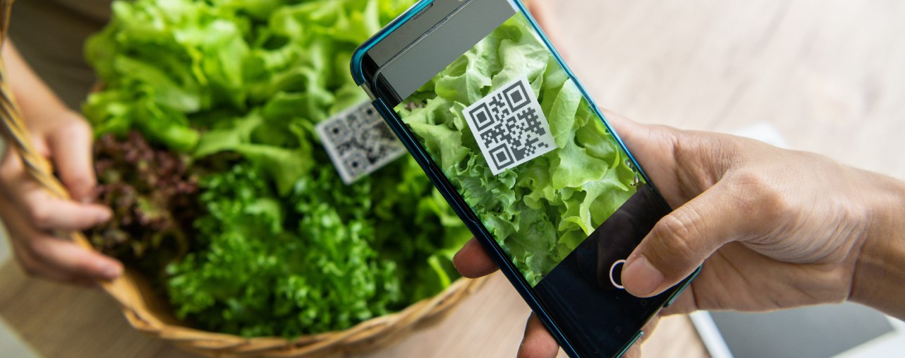 Digital product passports: how to choose the best DPP to bridge the consumer trust gap on sustainability_1288x511