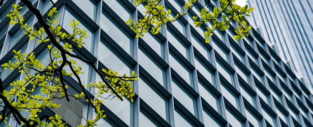 Medioambiente y energía