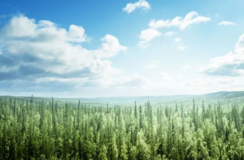 Hallazgos en auditoría ambiental