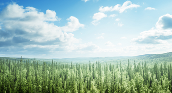 Espresso survey - Conclusiones de la auditoría medioambiental