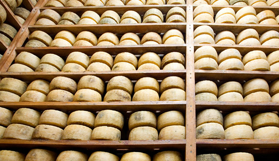 Alimentación y Bebidas