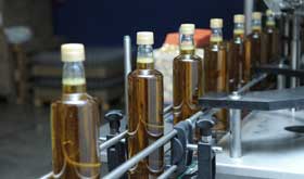 fabricación de alimentos