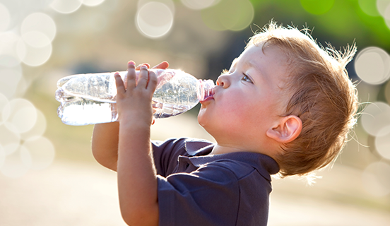 Programa de Cultura de Seguridad Alimentaria