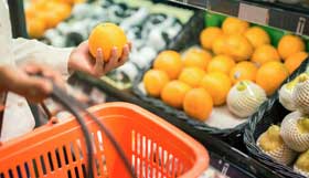 Seguridad alimentaria