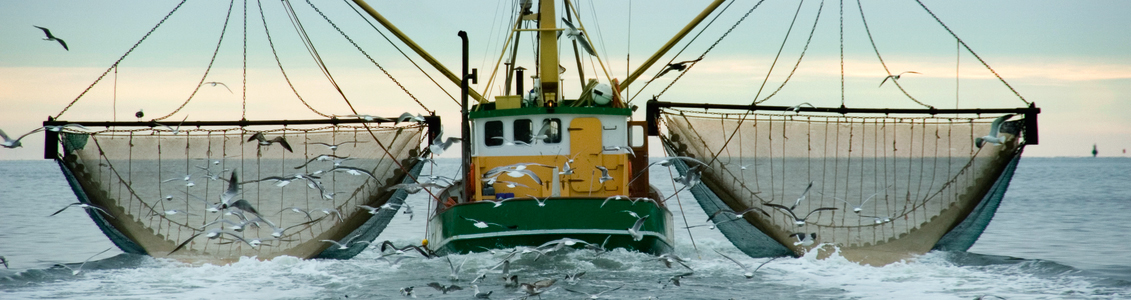  Barco pescando Friend of the sea 1134x300