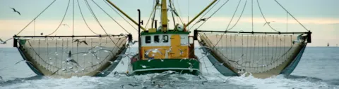 Barco pescando Friend of the sea 1134x300