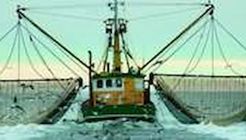 Certificación Friend of the Sea