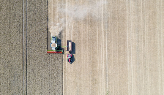 FSSC 22000 – Certificación en seguridad alimentaria