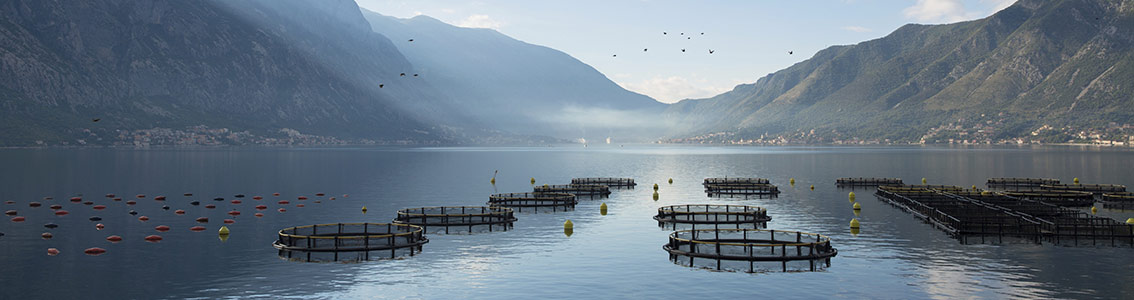 GLOBALGAP aquaculture