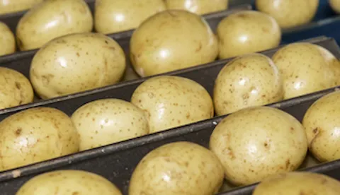 GLOBALG.A.P IFA Plants versión 6