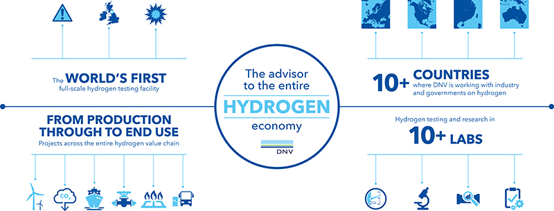 Infographic: The advisor to the entire hydrogen economy