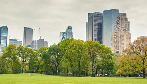 Curso "Auditor Interno ISO 14001 (CQI-IRCA)"