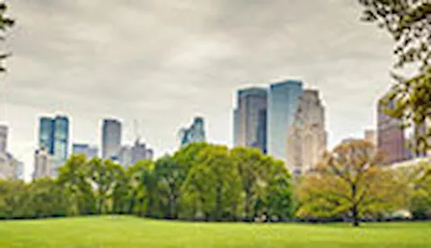 Certificación ISO 14001: Gestión medioambiental