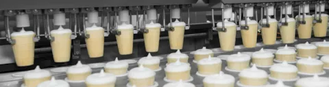 Fabricación helados. ISO 22000. 1134X300