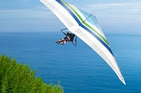 Autoevaluación online