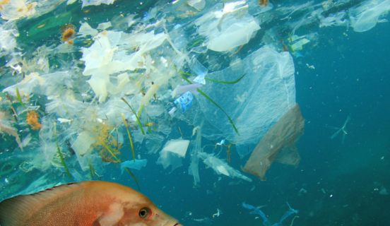 Operation Clean Sweep (OCS) 