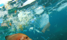 Operation Clean Sweep (OCS) - gestión de pérdidas de pellets de plástico