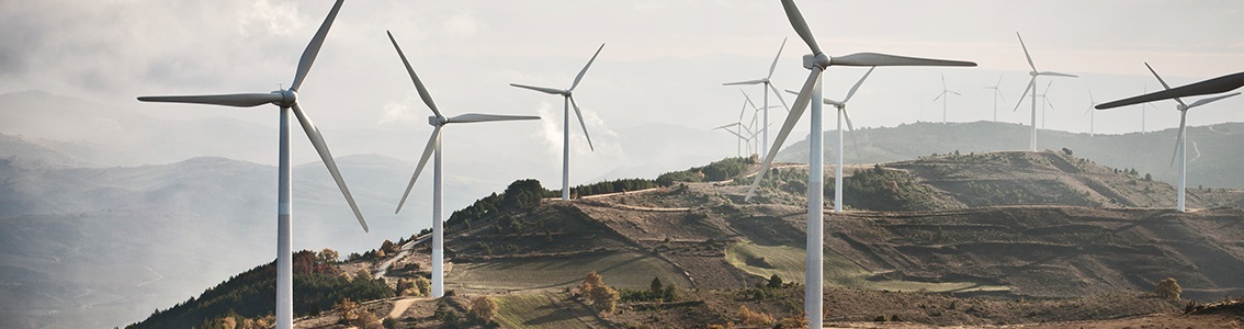 Site-specific mechanical load assessment