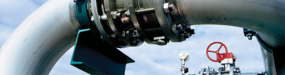 Planificación y gestión de la Inspección basada en el riesgo