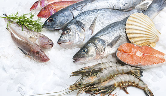 Servicios para la industria de alimentos del mar