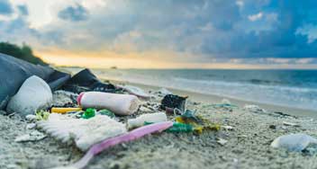 ¿Qué aspectos de la transición circular interesan a los consumidores?