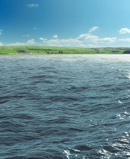 El portal de ViewPoint