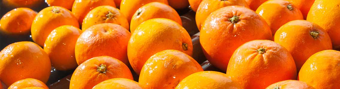 Woman with a shopping basket looking at fruit and vegetables