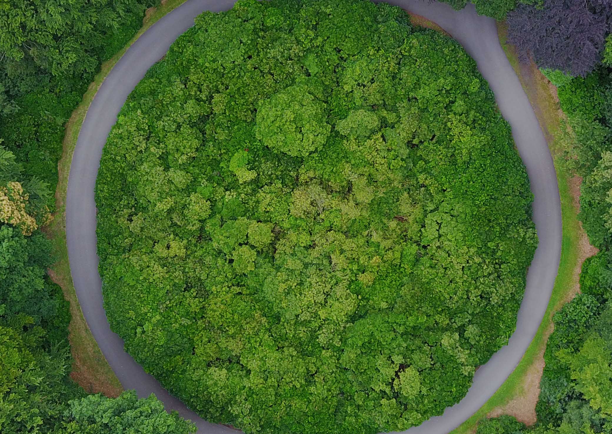 Economía Circular ¿Cómo están haciendo la transición las empresas?