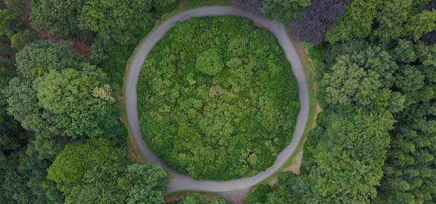 Economía circular: ¿Cómo están haciendo la transición las empresas?